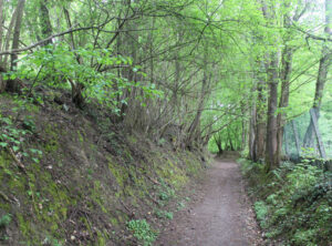 Sur le chemin de Saint-Jacques de Compostelle à l’entrée du bois de la Tassenière