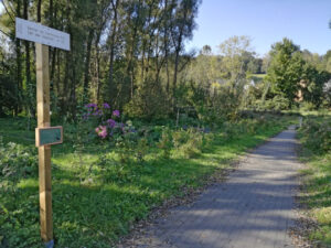 Sentier 73, vers le pont des Castors