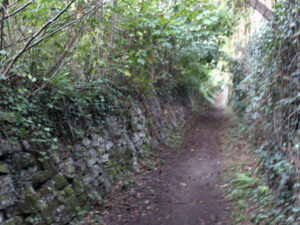 Mur en pierres sèches le long du sentier 74